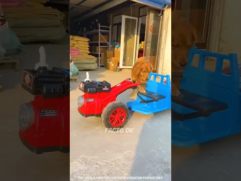 Tomy 🐕‍🦺 का ट्रैक्टर🚜BMW से महंगा है😱 #shorts