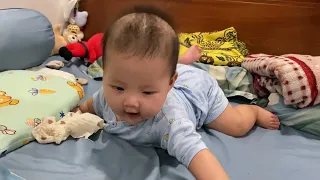 Rabbit baby cute 