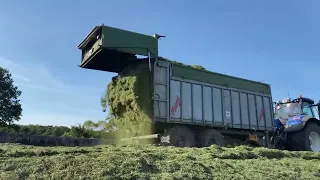 Modern technology for Stacking Straw . Milking. Silage hills. Holstein cows. Big Machines