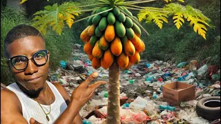 UN ARBOL DE PAPAYA LLENO DE BASURA 😭