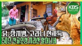 마당엔 닭, 장지뱀, 고라니 한가득! 50년 산골인생 지리산 할머니네 [야생여정-할머니네 산골동화] / KBS 20181013 방송