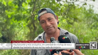 En Veracruz, a diario, pescadores vacían contenedores llenos, pero  de peces diablo