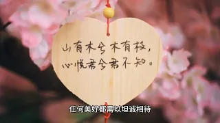 向阳而生