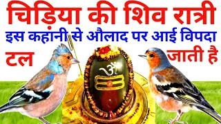 #चिड़िया की महाशिवरात्रि !Chidiya Ki Mahashivratri #motivationalstory  #गजबकहानी #Chidiyaofgodstory
