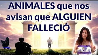 ANIMALES que nos AVISAN que alguien FALLECIÓ