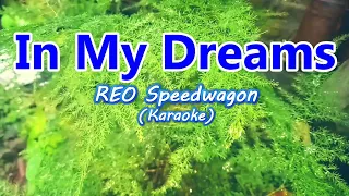 REO Speedwagon - In My Dreams (Karaoke)