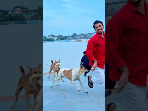 Dog🐶friendship🥹speaks louder than words😭 #viraljump #talentedboystunt #dogapparel #funnyanimals