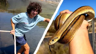 Estos Animales Estaban Atrapados En Balsas y Pozos…