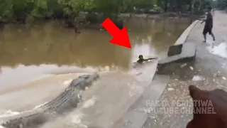 MENGERIKAN...!! Warga Berlarian!! Tiba² Muncul Penampakan Buaya Raksasa Mengejar Mangsa! Perhatikan!