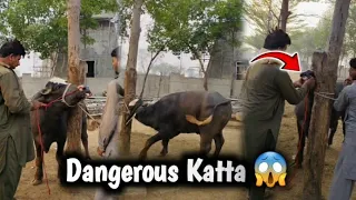 Ya Kia Ho Gaya 🤬 Katty Ko Nakail Dal Di Full Aggressive |