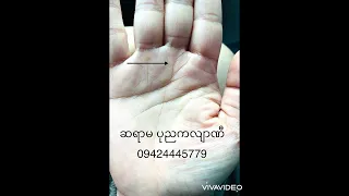 ကြာဖူးအကြောင်း သိကောင်းစရာ