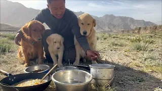 Homeless man makes breakfast for three stray dogs in no man's land🥹