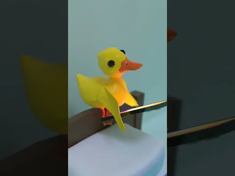 When you left your door open! 😱 #shorts #funny #duck