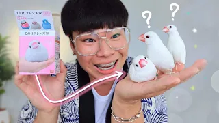 กล่องสุ่มนก...จากญี่ปุ่น!! 🇯🇵🐤