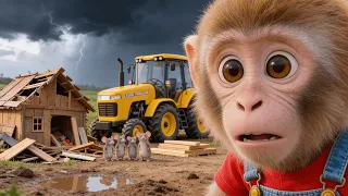 🐒⚡😢 Monkey NaNa Rebuilds a Home for a Mouse Family After a Storm Nana Monkey Life