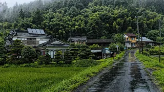 Peaceful Rain Walk in Japan Countryside 🇯🇵 Nature & Relax