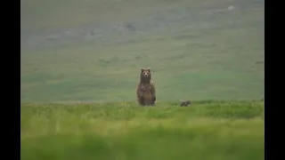WWF-Pakistan: One Million Strong