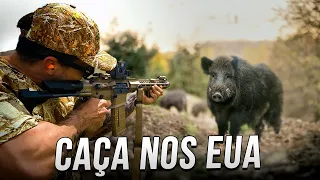 Caçada de JAVALI na Flórida! Como é a Caça nos Estados Unidos?