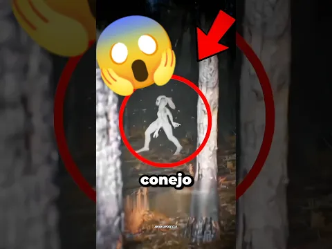 Si Ves Este Conejo En El Bosque… Escóndete Inmediatamente 😱🔥