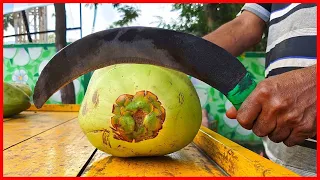 FRUIT NINJA of FRUITS | Amazing Fruits Cutting Skills | Indian Street Food In 2021