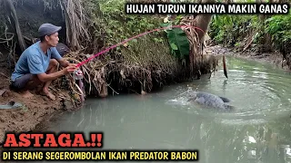 YA AMPUN.!! MANCING IKAN GURAMEH DI SUNGAI INI BIKIN LUPA SEGALANYA || HUJAN² IKAN TAMBAH GANAS BRO