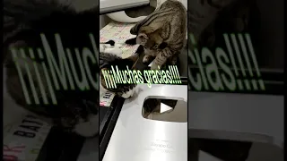 ¡¡Gracias!!