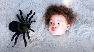🤣 Sandbox Spider Pretend Play!