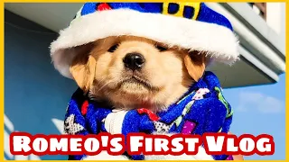 My First Vlog 😍🐶 #firstvlog