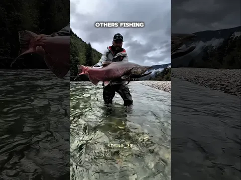 others fish vs this one☠️ #trollface #edit #troll