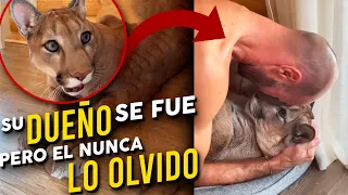 Su dueño se fue, pero nunca lo olvidó!
