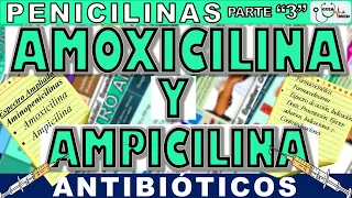 AMOXICILINA PARA QUE SIRVE ESTE MEDICAMENTO (AMOXICILINA Y AMPICILINA) | GuiaMed