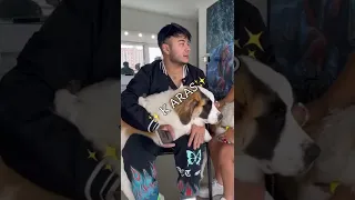 Nos quedamos con los perros y les pusimos nombre...