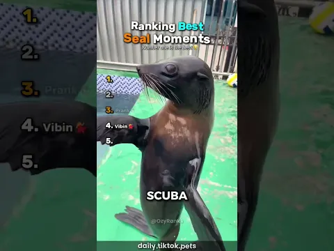Ranking Best Seal Moments🥰 #usa