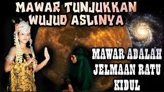 AKHIRNYA MAWAR MEMBUKA CADARNYA!!!