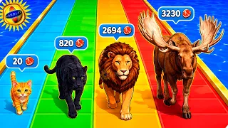 🌞ЭВОЛЮЦИЯ КОТИКА, МАКСИМАЛЬНЫЙ УРОВЕНЬ! Cat Evolution