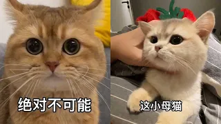 【PuPu噗噗】噗噗为了女朋友抛弃了我