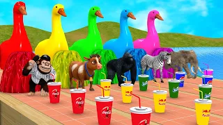 5 Giant Duck Cartoon,Cow,Elephant,Tiger,Lion,Dinosaur,Paint Wild Animals Crossing Fountain Animation