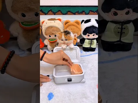 This Tiny Kitten Refuses to Go on the Trip! 🚗😹