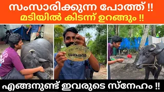 Speaking Buffalo | Unnikuttan And Shankaran