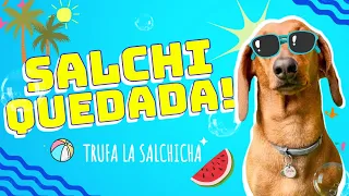 SALCHIQUEDADA! Piscina, Pelotas y Mucha Diversión! 🌭💦