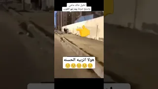 الشي الوحيد الي يستحق الدعم🥹