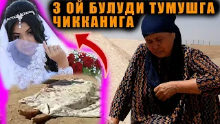 3 ОЙ ДА КИЗИМНИ УЛИГИНИ ОЛИБ КЕЛИБ БЕРДИ КАЙНОТАСИ УЗИНИ ОСДИ ДЕБ