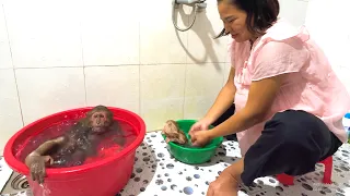 Too Cute! CUTIS Shyly Asks Mom for a Bath with BUEM