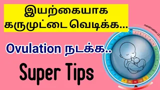 karumuttai vedika enna sapida vendum | கருமுட்டைவளர்ச்சிக்கு | egg quality improvement food tamil
