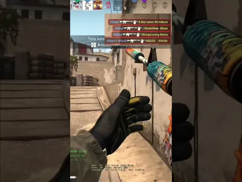 M4A4 nebo M4A1-S?