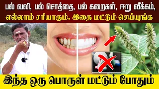 பல் வலி, பல் சொத்தை, பல் கறைகள், ஈறு வீக்கம், எல்லாம் சரியாகும்.. 😲இந்த ஒரு பொருள் மட்டும் போதும்..