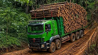 🚛 Massive Log Truck Battles the Deepest Mud | Extreme Logging
