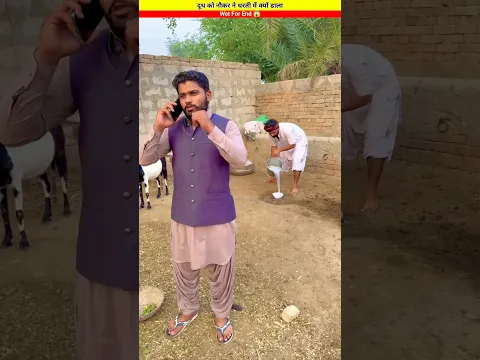 नौकर ने दूध को धरती के अंदर क्यों छुपाया जानकर हैरान हो जाओगे। 😱।#viral #shorts #prenk #istori