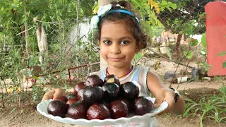 Gulabjamun sweet  food |  hot dish |  tastey |  princess girl palak
