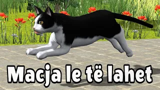 Macja le te lahet - Kukulla per femije - by "Çamarroket"